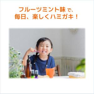 歯磨き粉 ガム デンタルペースト こども 70...の詳細画像4