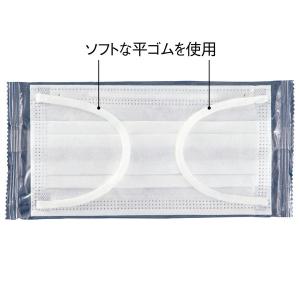 【個包装】耳にやさしい やわらかいマスク 【レ...の詳細画像1