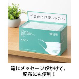 【個包装】耳にやさしい やわらかいマスク 【レ...の詳細画像4
