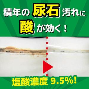 サンポール トイレ クリーナー 掃除 洗剤 便...の詳細画像3