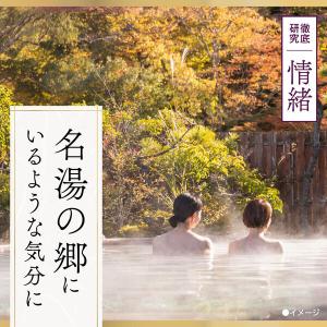 【温泉地公認】 入浴剤 温泉タイプ アソート ...の詳細画像4