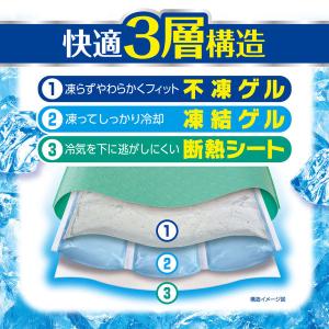 白元アース アイスノンソフト <長時間> 1個の詳細画像3