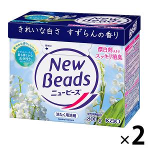 ニュービーズ 大サイズ 800g 1セット(2個...の商品画像