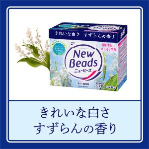 ニュービーズ 大サイズ 800g 1セット(2...の詳細画像3
