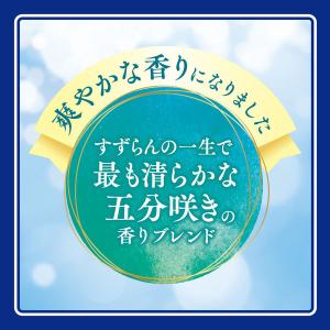 ニュービーズ 大サイズ 800g 1セット(2...の詳細画像4