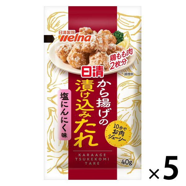 【アウトレット】日清製粉ウェルナ 日清 から揚げの漬け込みたれ 塩にんにく味 40g 5個　時短調理...