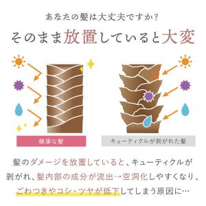 プリュスオー メロウシャンプー 詰め替え 35...の詳細画像2