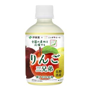 伊藤園 ニッポンエール 長野県産 りんご三兄弟...の詳細画像1