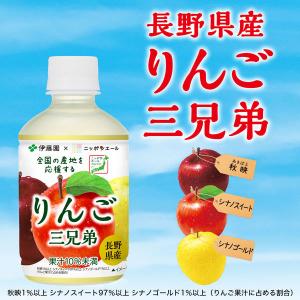 伊藤園 ニッポンエール 長野県産 りんご三兄弟...の詳細画像2