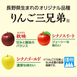伊藤園 ニッポンエール 長野県産 りんご三兄弟...の詳細画像3