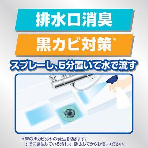 ルックプラス バスタブクレンジング 銀イオンプ...の詳細画像4