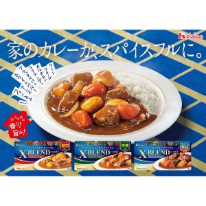 クロスブレンドカレー 中辛 140g 8皿分 ...の詳細画像1