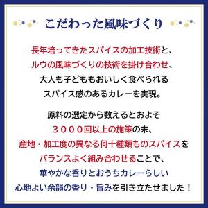 クロスブレンドカレー 中辛 140g 8皿分 ...の詳細画像2