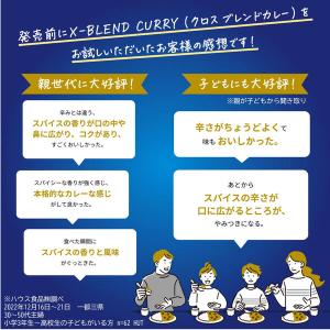 クロスブレンドカレー 中辛 140g 8皿分 ...の詳細画像3