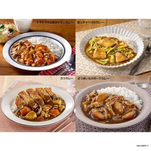 クロスブレンドカレー 中辛 140g 8皿分 ...の詳細画像4
