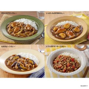 クロスブレンドカレー 中辛 140g 8皿分 ...の詳細画像5