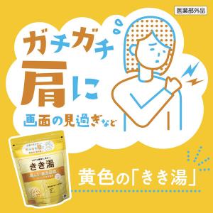 薬用 入浴剤 炭酸 きき湯 カリウム芒硝炭酸湯...の詳細画像1