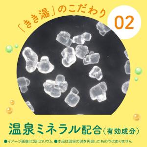 薬用 入浴剤 炭酸 きき湯 カリウム芒硝炭酸湯...の詳細画像4