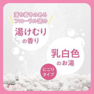 薬用 入浴剤 炭酸 きき湯 クレイ重曹炭酸湯 ...の詳細画像2