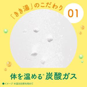 薬用 入浴剤 炭酸 きき湯 クレイ重曹炭酸湯 ...の詳細画像3