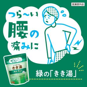 薬用 入浴剤 炭酸 きき湯 マグネシウム炭酸湯...の詳細画像1