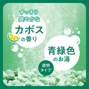 薬用 入浴剤 炭酸 きき湯 マグネシウム炭酸湯...の詳細画像2