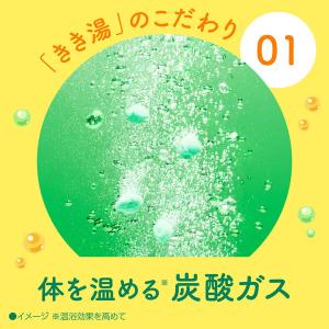 薬用 入浴剤 炭酸 きき湯 マグネシウム炭酸湯...の詳細画像3