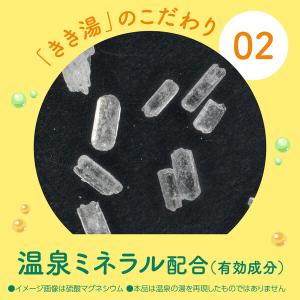薬用 入浴剤 炭酸 きき湯 マグネシウム炭酸湯...の詳細画像4