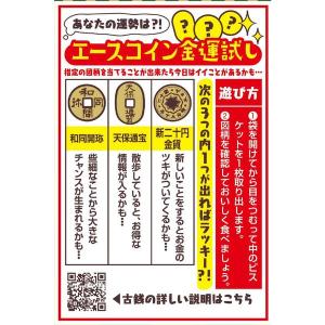 エースコイン抹茶味 1個 日清シスコ ビスケッ...の詳細画像1