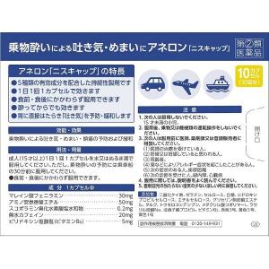 アネロン「ニスキャップ」 10カプセル エスエ...の詳細画像3
