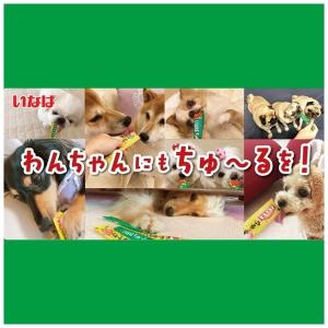 (バラエティパック)いなば ちゅーる 犬 総合...の詳細画像4