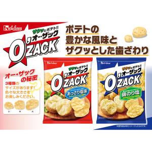 オー・ザック あっさり塩味 55g 3袋 ハウ...の詳細画像3