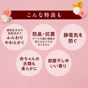 ソフラン アロマリッチ ダイアナ 詰め替え ウ...の詳細画像5
