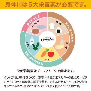 カロリーメイトブロック チョコレート味 1セッ...の詳細画像5