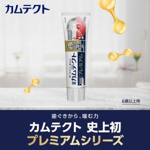 歯磨き粉 カムテクト ハミガキ プレミアム ホ...の詳細画像2