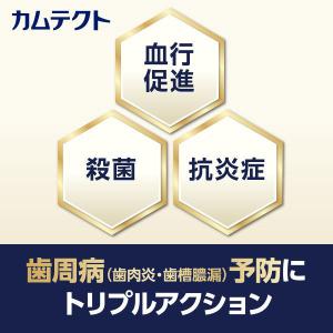 歯磨き粉 カムテクト ハミガキ プレミアム ホ...の詳細画像3