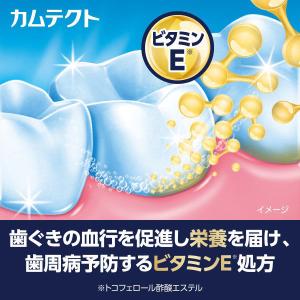 歯磨き粉 カムテクト ハミガキ プレミアム ホ...の詳細画像5