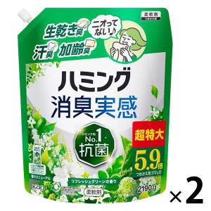 ハミング 消臭実感 リフレッシュグリーンの香り 超特大 詰め替え 2190g 1セット（2個入） 柔軟剤 花王