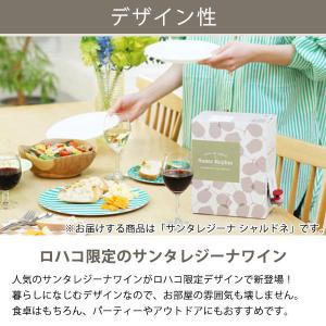 【アスクル・ロハコ限定】白ワイン チリ サンタ...の詳細画像4