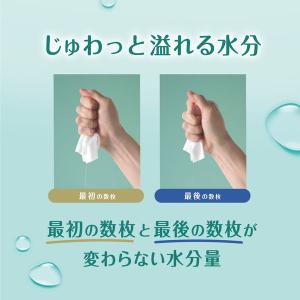 おしりふき パンパース 肌へのいちばん 672...の詳細画像4