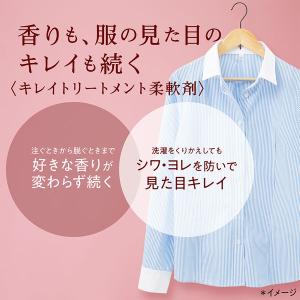 ソフラン アロマリッチ ジュリエット 4L 1...の詳細画像3