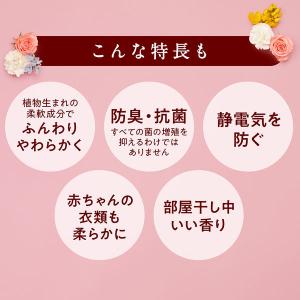 ソフラン アロマリッチ ジュリエット 4L 1...の詳細画像4