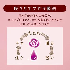 ソフラン アロマリッチ ジュリエット 4L 1...の詳細画像5