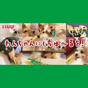(バラエティパック)いなば ちゅーる 犬 総合...の詳細画像1