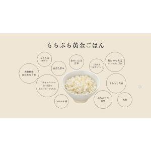 こめからだ お米ともち麦ブレンド もっちり黄金...の詳細画像4