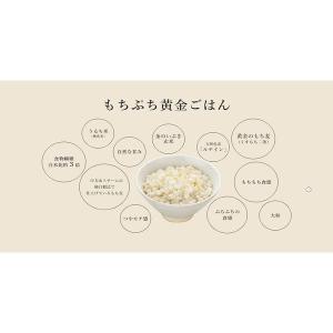 こめからだ お米ともち麦ブレンド もっちり黄金...の詳細画像4