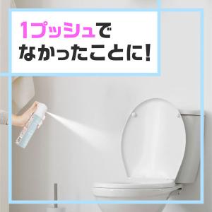 トイレのスッキーリエア プロ スーパー消臭スプ...の詳細画像2