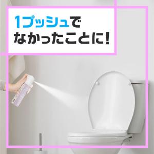 トイレのスッキーリエア プロ スーパー消臭スプ...の詳細画像2