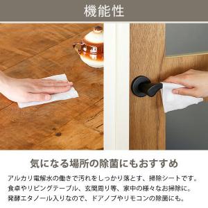 お掃除シート アルカリ電解水クリーナー 食卓テ...の詳細画像3