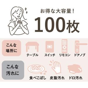お掃除シート アルカリ電解水クリーナー 食卓テ...の詳細画像4